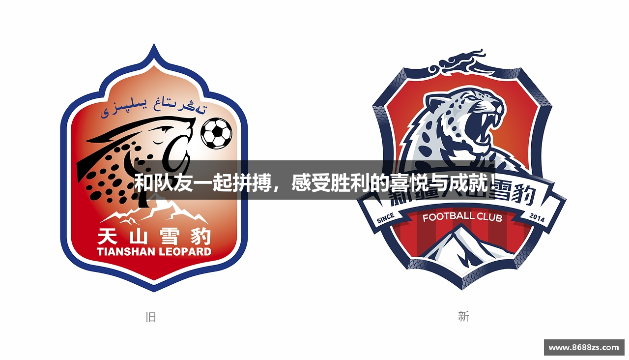 和队友一起拼搏，感受胜利的喜悦与成就！